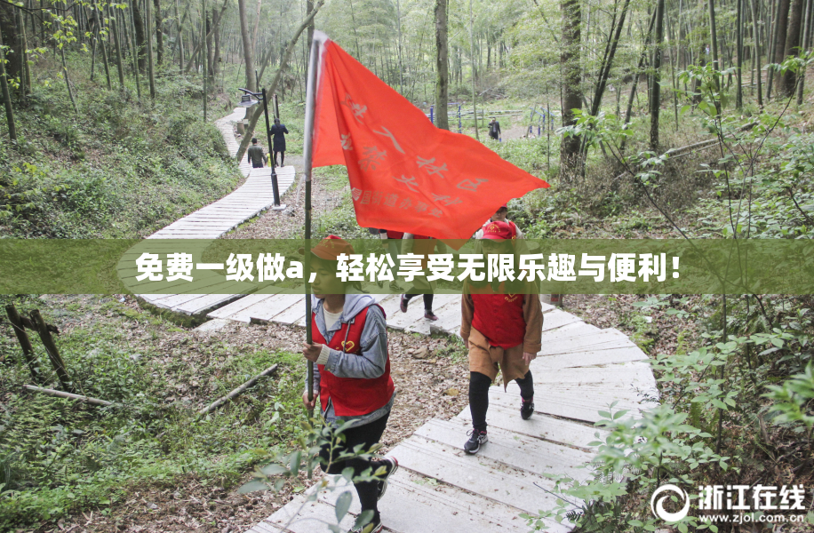 免费一级做a，轻松享受无限乐趣与便利！
