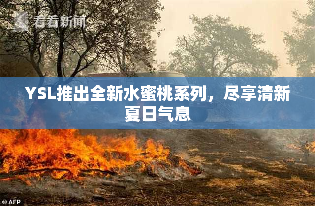 YSL推出全新水蜜桃系列，尽享清新夏日气息