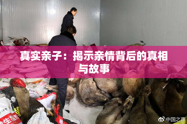 真实亲子：揭示亲情背后的真相与故事
