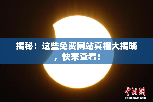 揭秘！这些免费网站真相大揭晓，快来查看！
