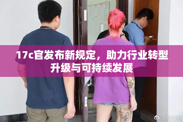 17c官发布新规定，助力行业转型升级与可持续发展