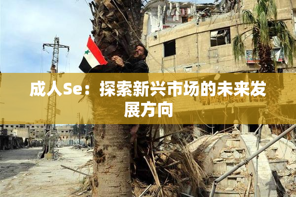 成人Se：探索新兴市场的未来发展方向
