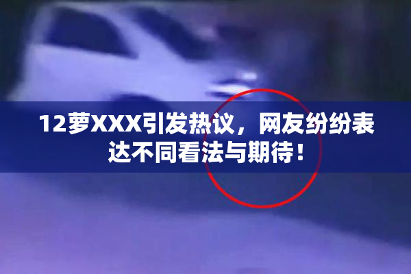 12萝XXX引发热议，网友纷纷表达不同看法与期待！