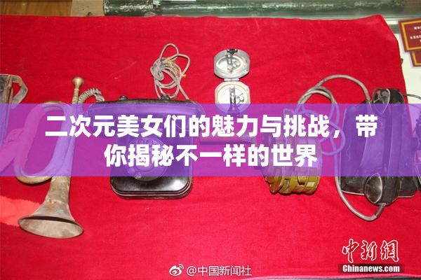 二次元美女们的魅力与挑战，带你揭秘不一样的世界