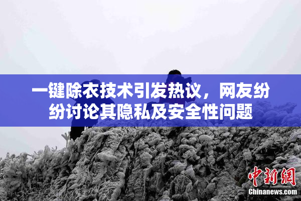 一键除衣技术引发热议，网友纷纷讨论其隐私及安全性问题