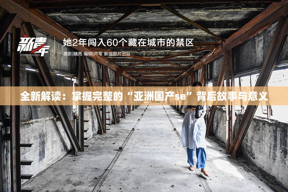 全新解读：掌握完整的“亚洲国产se”背后故事与意义