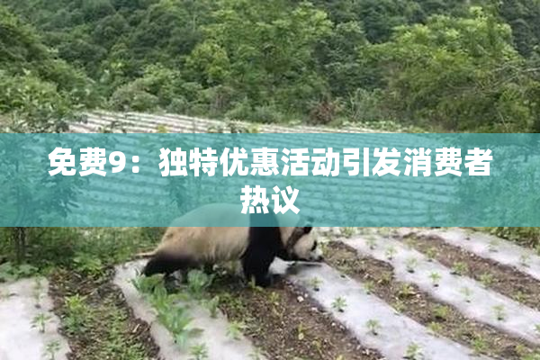 免费9：独特优惠活动引发消费者热议