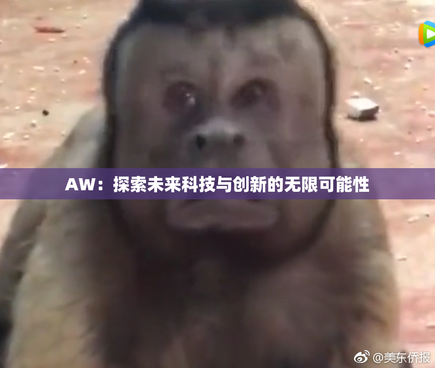 AW：探索未来科技与创新的无限可能性