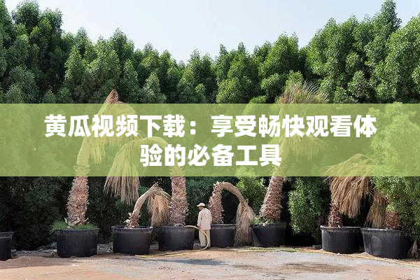 黄瓜视频下载：享受畅快观看体验的必备工具