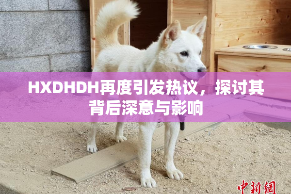 HXDHDH再度引发热议，探讨其背后深意与影响