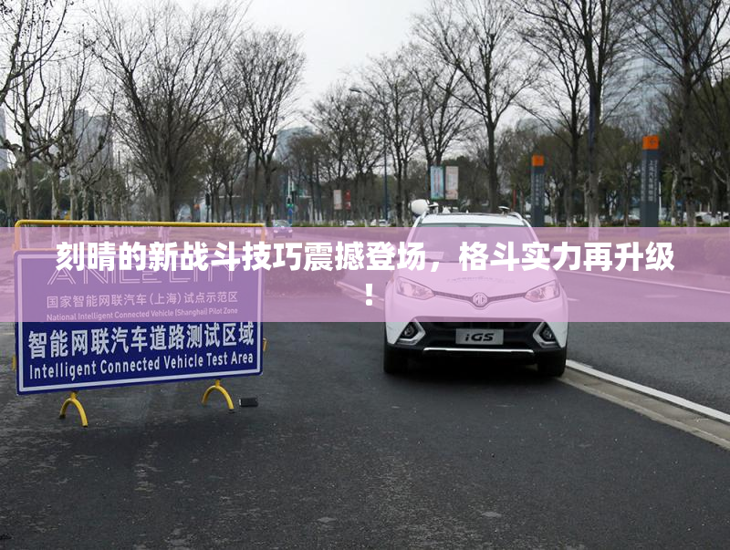 刻晴的新战斗技巧震撼登场，格斗实力再升级！