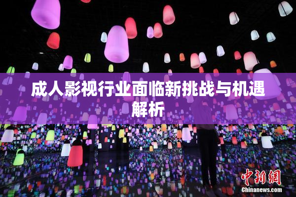 成人影视行业面临新挑战与机遇解析