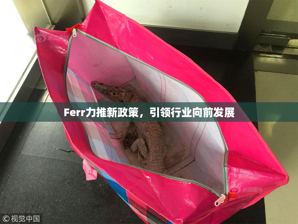 Ferr力推新政策，引领行业向前发展