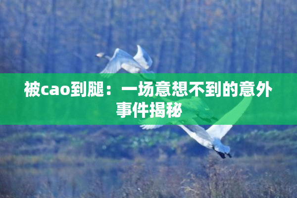被cao到腿：一场意想不到的意外事件揭秘