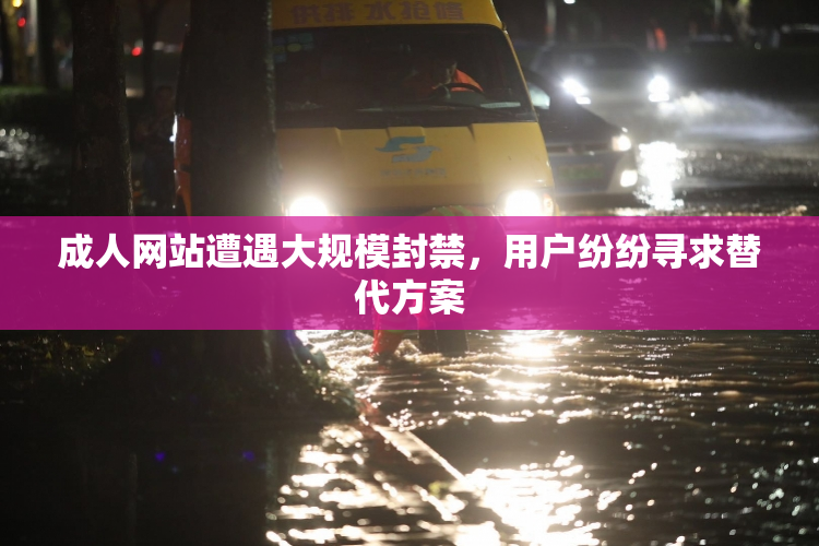 成人网站遭遇大规模封禁，用户纷纷寻求替代方案