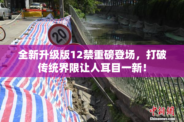 全新升级版12禁重磅登场，打破传统界限让人耳目一新！