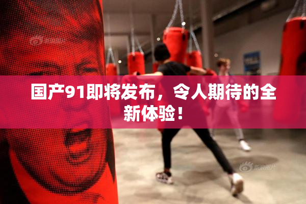 国产91即将发布，令人期待的全新体验！