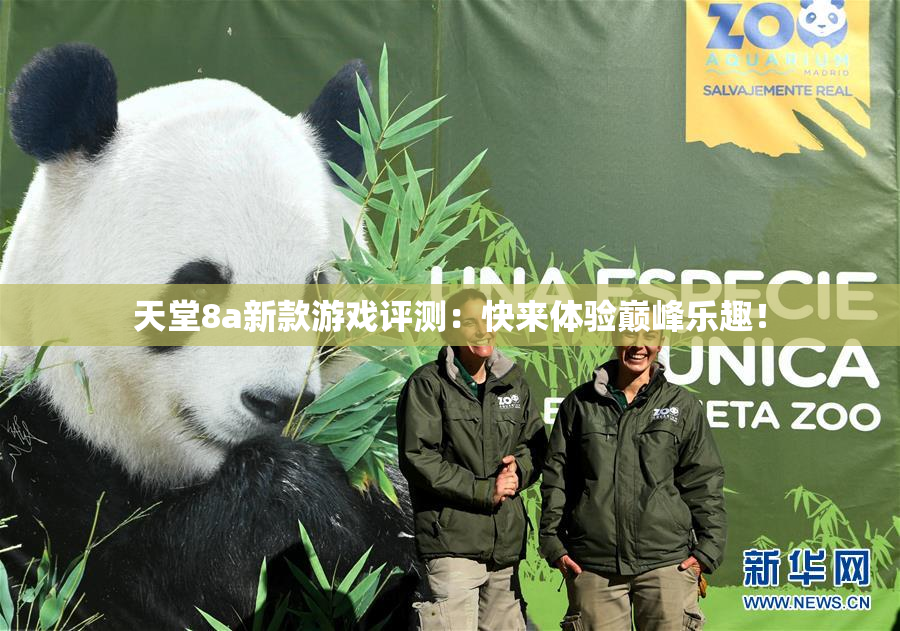 天堂8a新款游戏评测：快来体验巅峰乐趣！