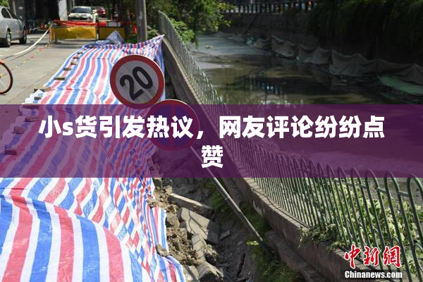 小s货引发热议，网友评论纷纷点赞