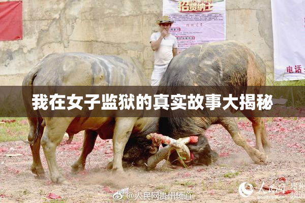 我在女子监狱的真实故事大揭秘