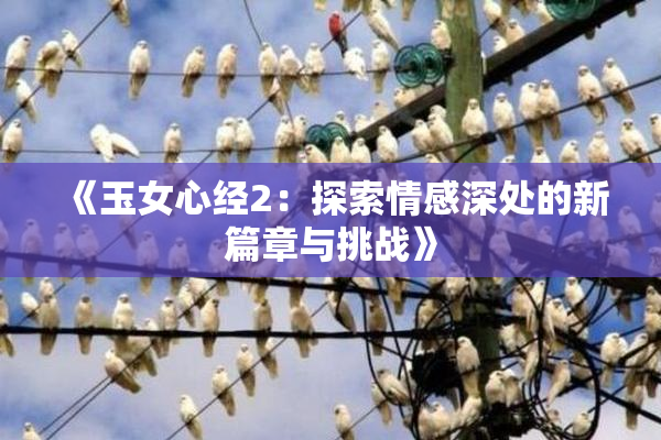 《玉女心经2：探索情感深处的新篇章与挑战》