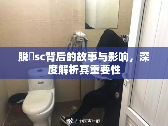 脱糞sc背后的故事与影响，深度解析其重要性