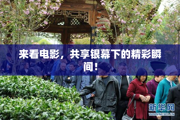 来看电影，共享银幕下的精彩瞬间！