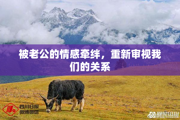 被老公的情感牵绊，重新审视我们的关系