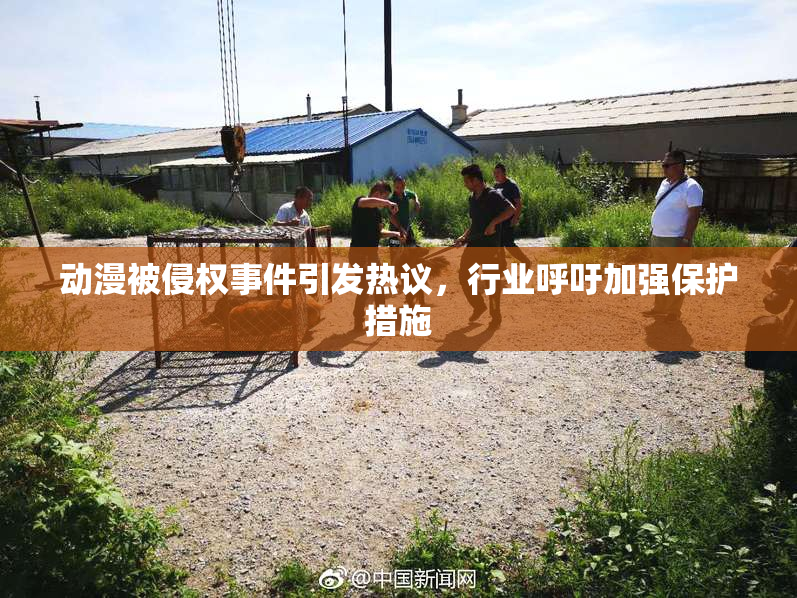 动漫被侵权事件引发热议，行业呼吁加强保护措施