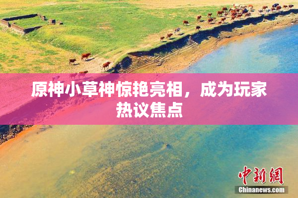 原神小草神惊艳亮相，成为玩家热议焦点