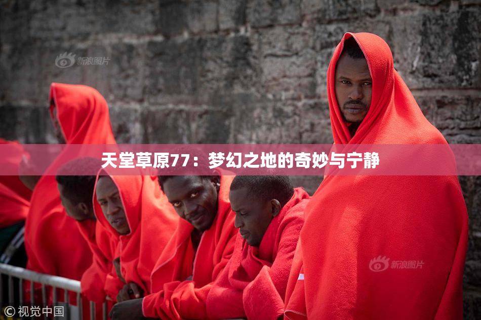 天堂草原77：梦幻之地的奇妙与宁静