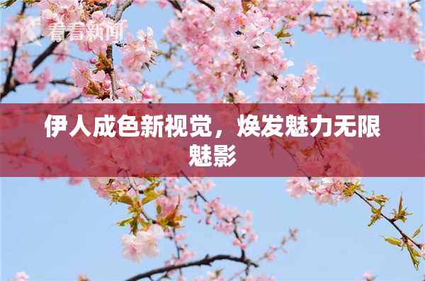 伊人成色新视觉，焕发魅力无限魅影