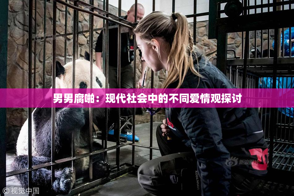 男男腐啪：现代社会中的不同爱情观探讨