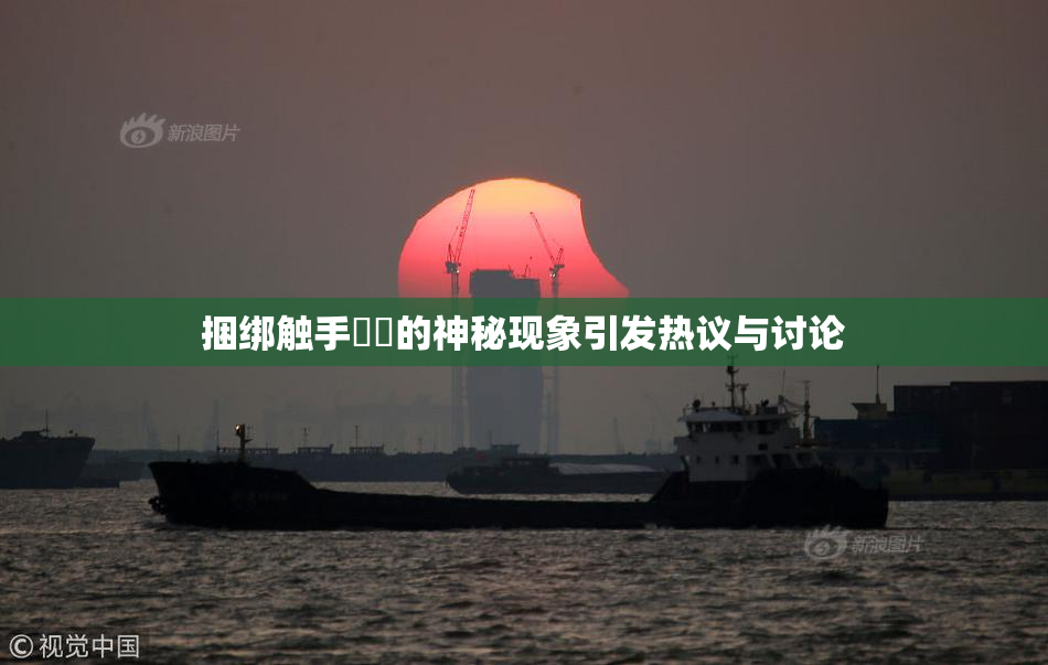 捆绑触手❌‌的神秘现象引发热议与讨论