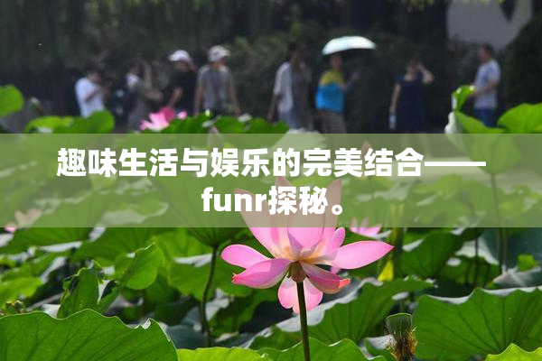 趣味生活与娱乐的完美结合——funr探秘。