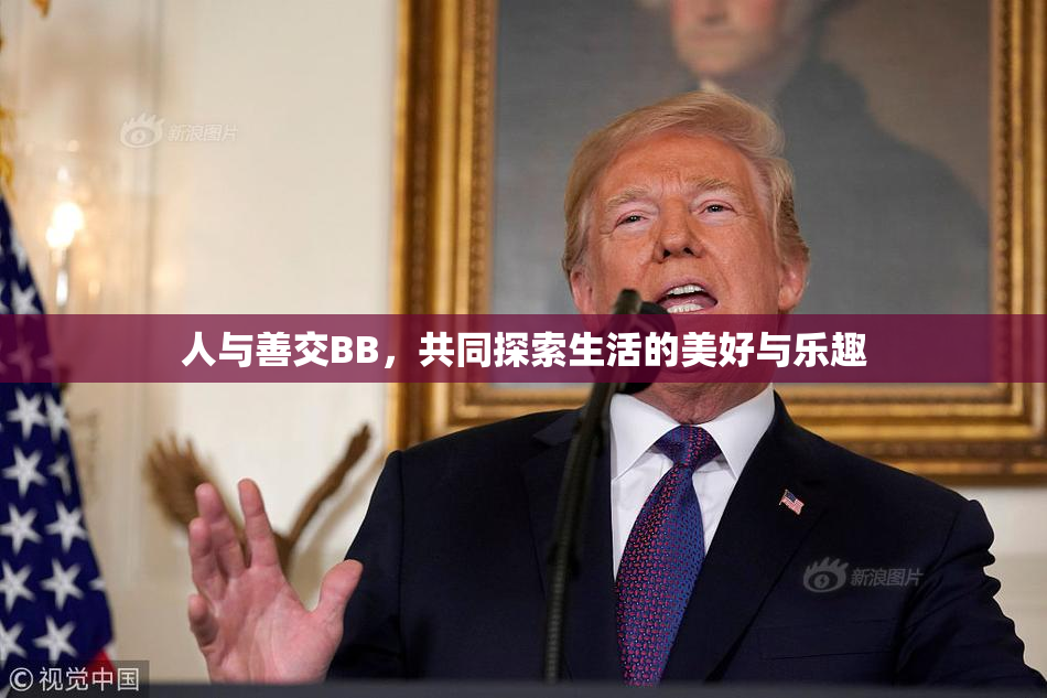 人与善交BB，共同探索生活的美好与乐趣