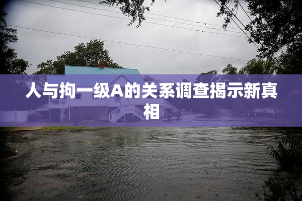 人与拘一级A的关系调查揭示新真相