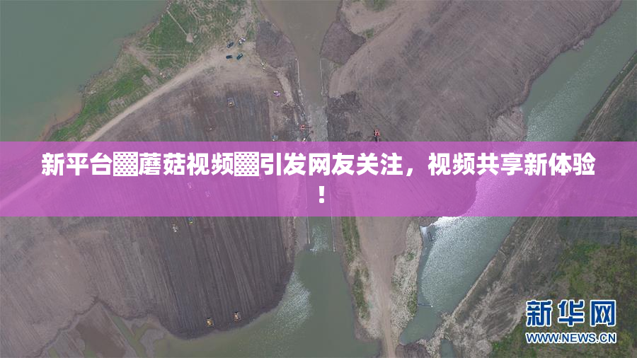 新平台▓蘑菇视频▓引发网友关注，视频共享新体验！