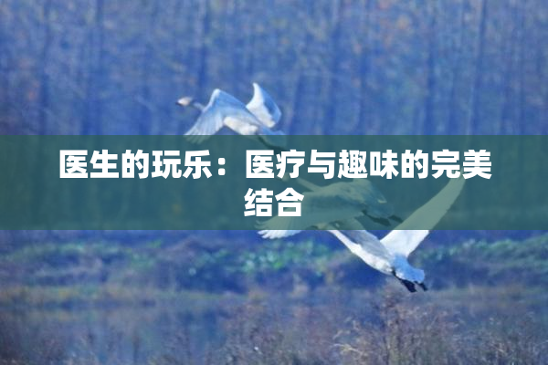 医生的玩乐：医疗与趣味的完美结合