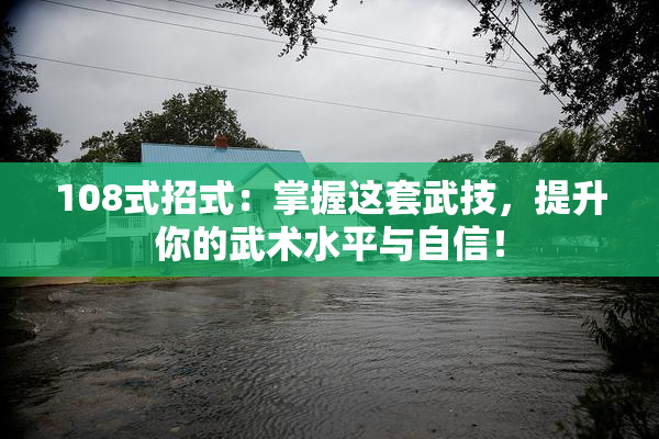 108式招式：掌握这套武技，提升你的武术水平与自信！