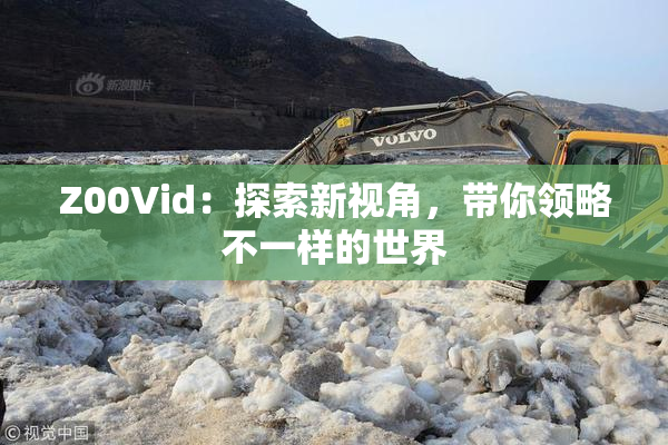 Z00Vid：探索新视角，带你领略不一样的世界
