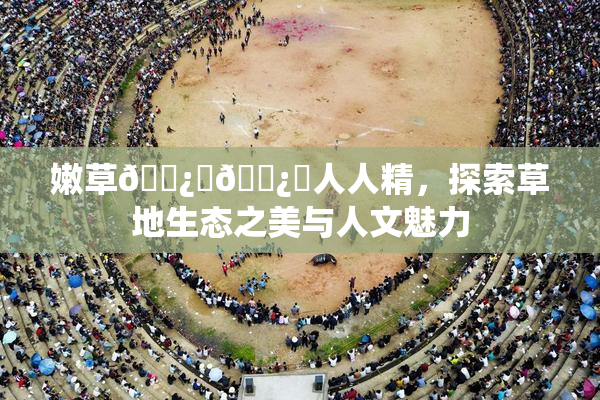嫩草🌿‌🌿‌人人精，探索草地生态之美与人文魅力