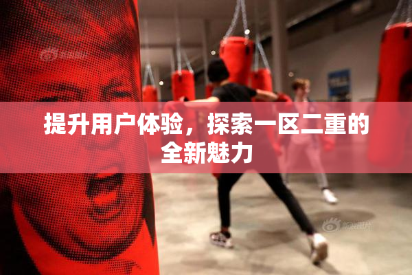 提升用户体验，探索一区二重的全新魅力