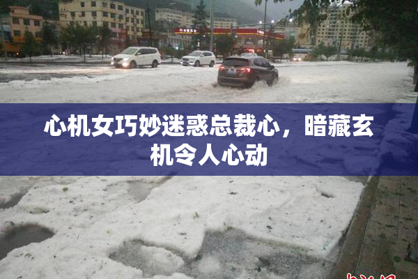 心机女巧妙迷惑总裁心，暗藏玄机令人心动