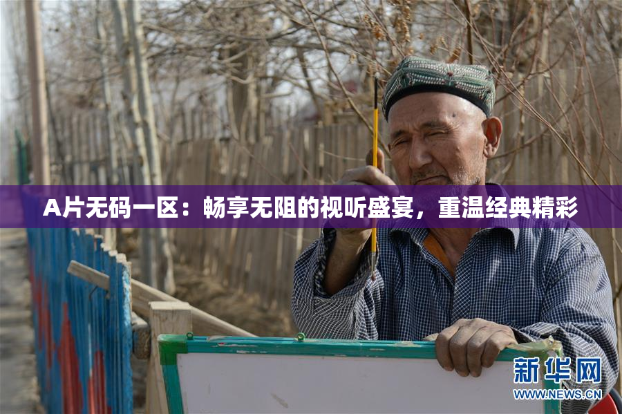 A片无码一区：畅享无阻的视听盛宴，重温经典精彩