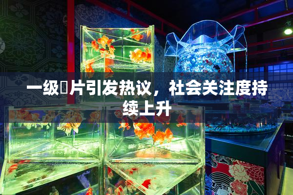 一级婬片引发热议，社会关注度持续上升
