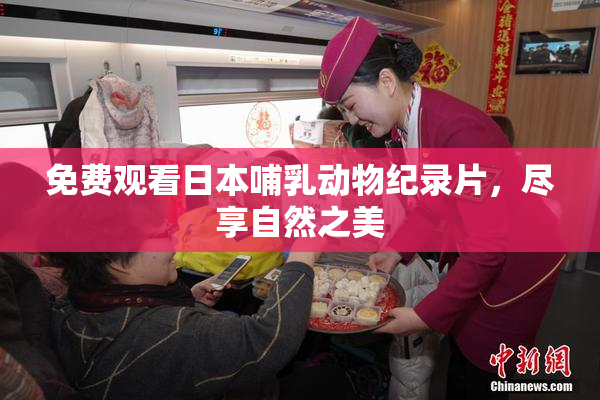 免费观看日本哺乳动物纪录片，尽享自然之美