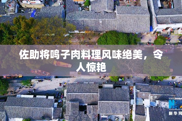 佐助将鸣子肉料理风味绝美，令人惊艳