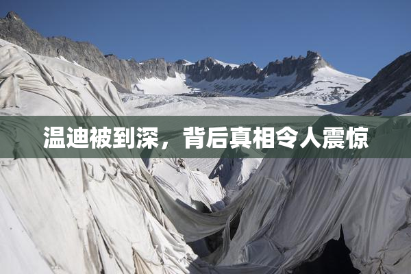 温迪被到深，背后真相令人震惊