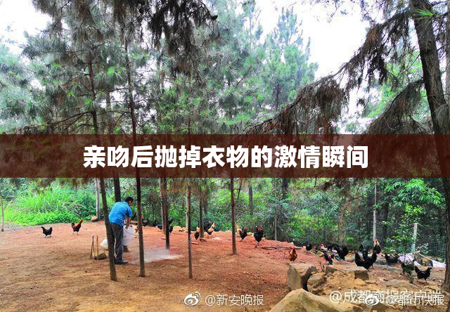 亲吻后抛掉衣物的激情瞬间